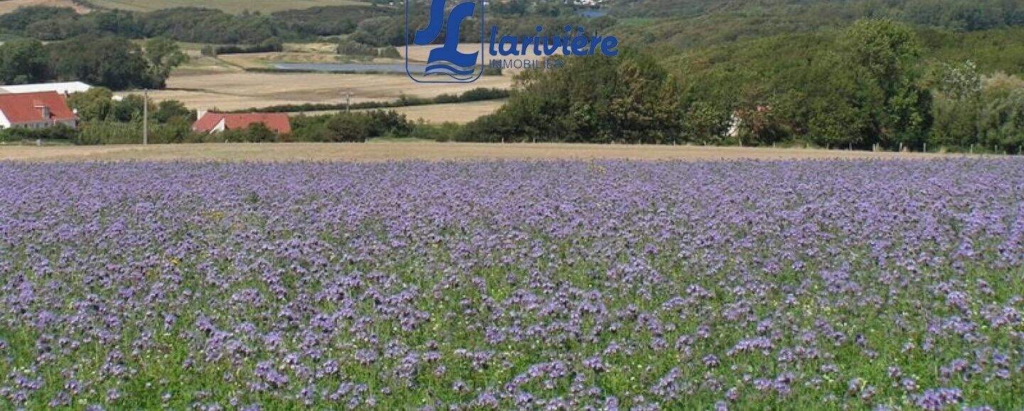 Agence immobilière de AGENCE LA RIVIERE Wimereux - AGENCE LA RIVIERE