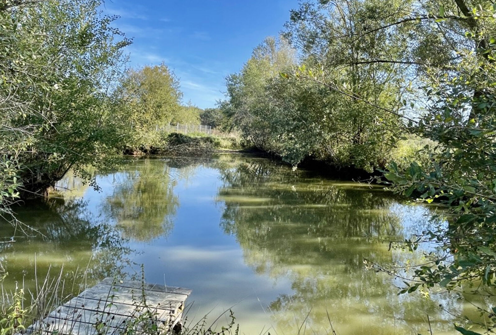 Photo Moulins _ Ancien Corps de Ferme Rénové avec Gîtes et Terrains ? Idéal Activité Touristique image 2/6