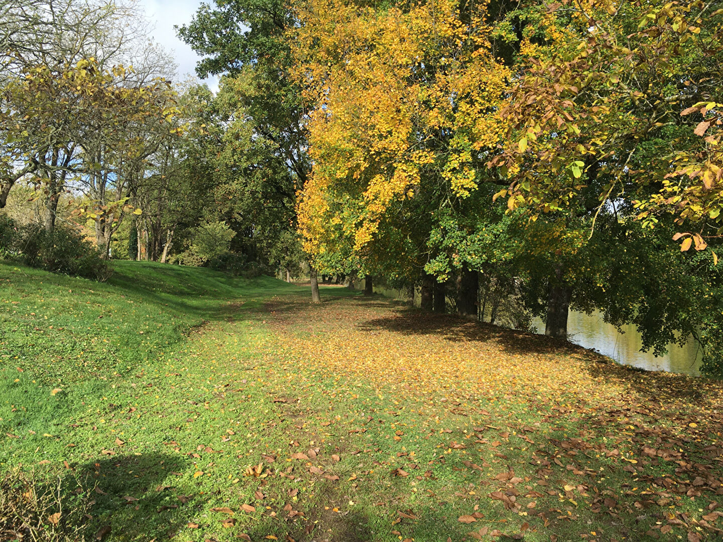 Photo Appartement T2 - Résidence de vacances à Monflanquin image 6/6