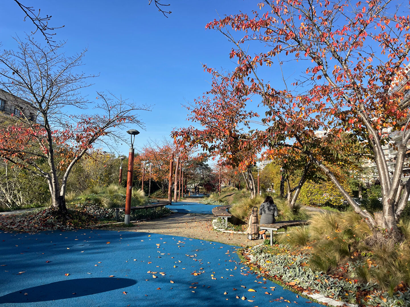 Photo VINCENNES - 5 MINUTES BOIS image 5/6