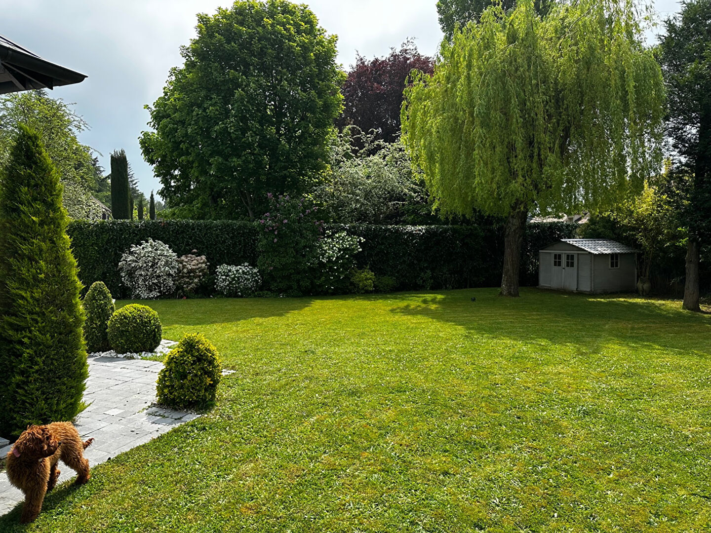 Photo MAISON ST NOM LA BRETECHE - 7 pièce(s) - 246 m2 image 4/6