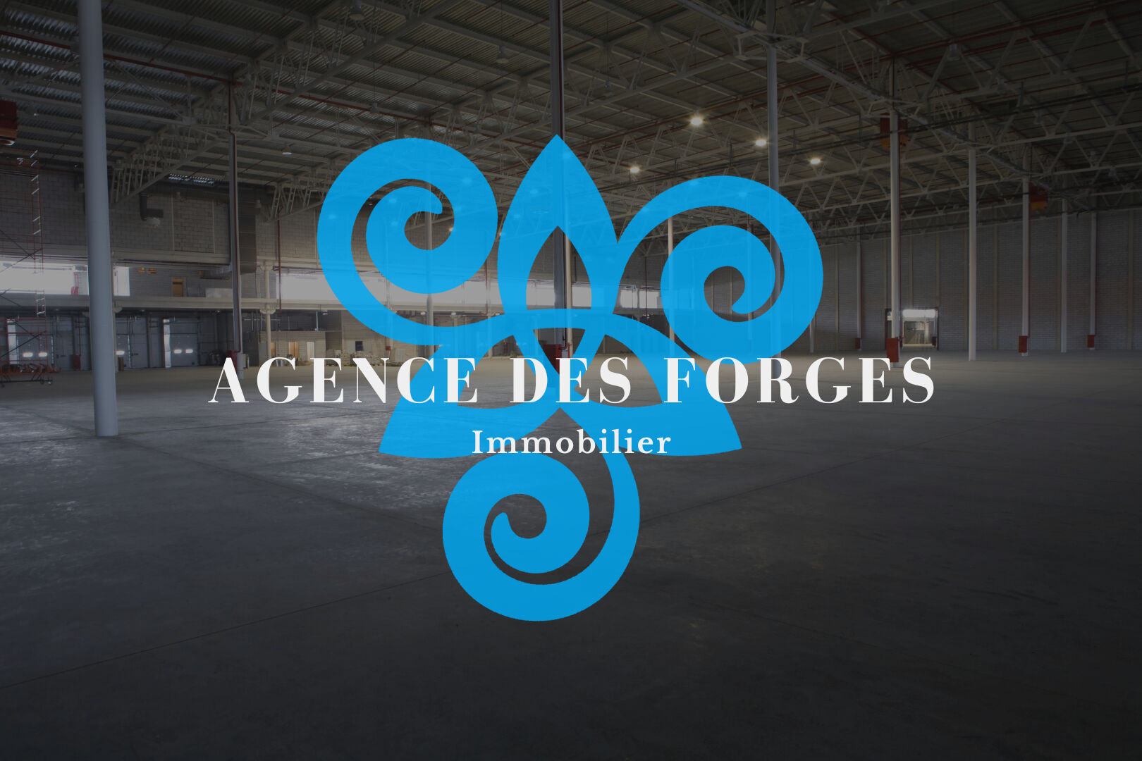 INVESTISSEMENT - Local d'activité de 870m² - Bail en cours