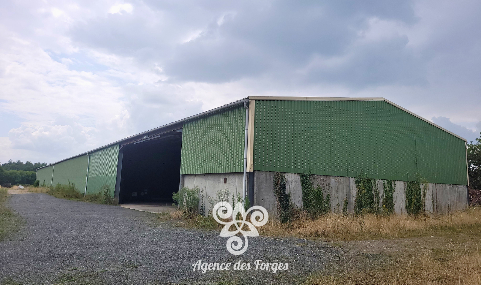 Photo Bâtiment agricole - Montaigu Vendée - 6859 m2 image 1/6