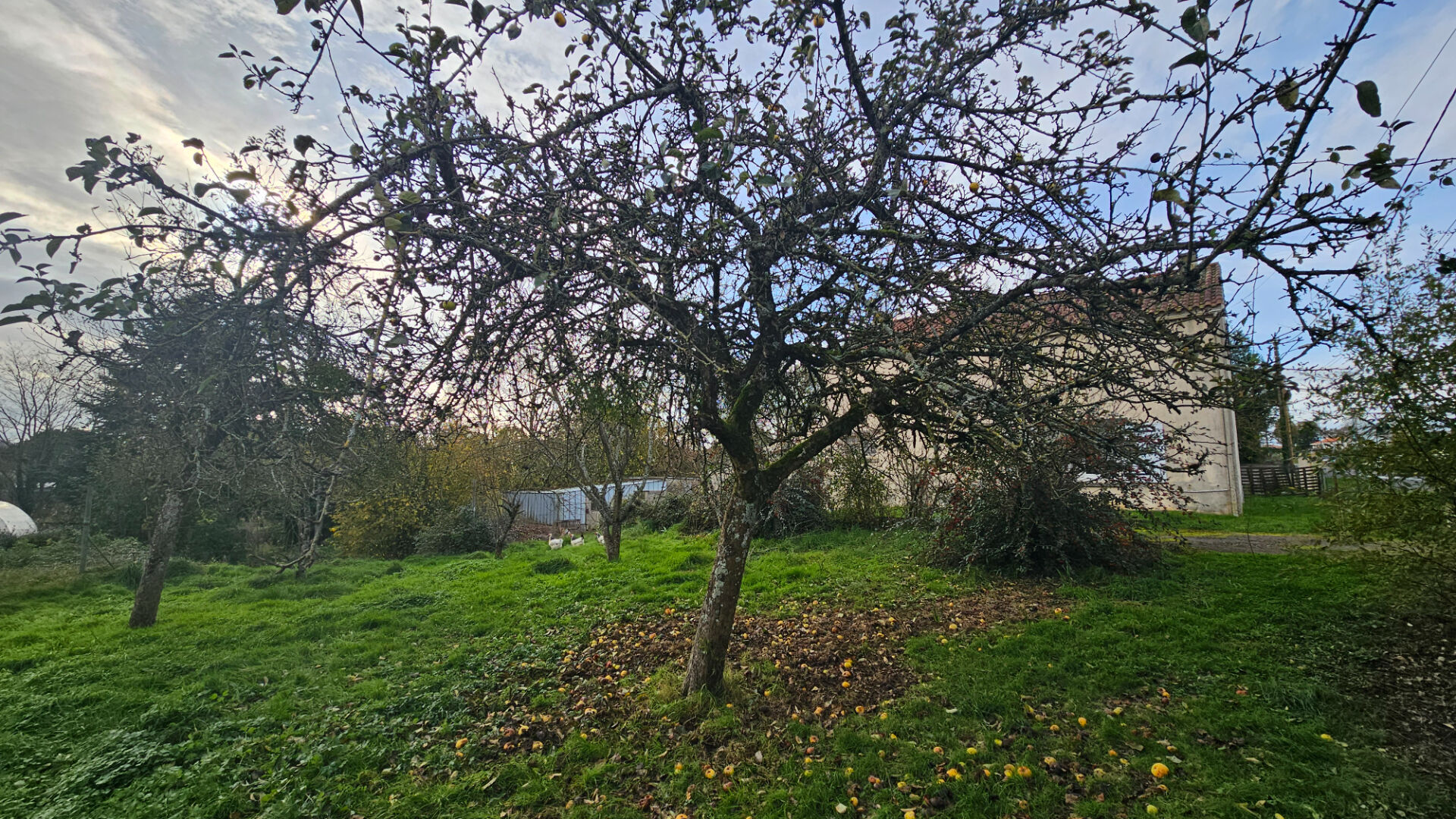 Terrain à Bâtir de 869 m².