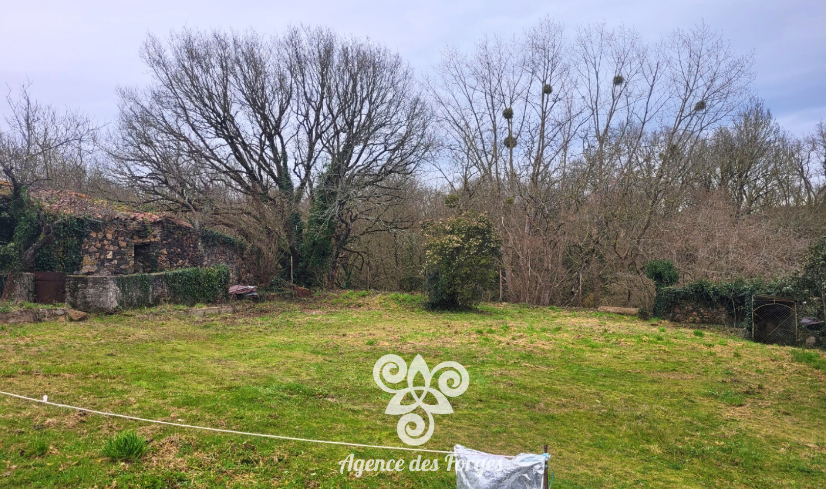 Agence immobilière de Agence des forges Vallet - Agence des forges