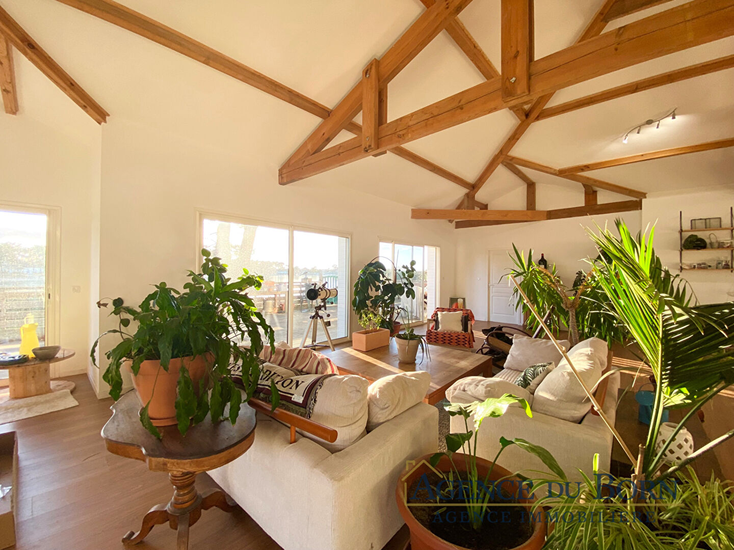 Photo Villa 6 pièces COURANT Mimizan plage image 3/6