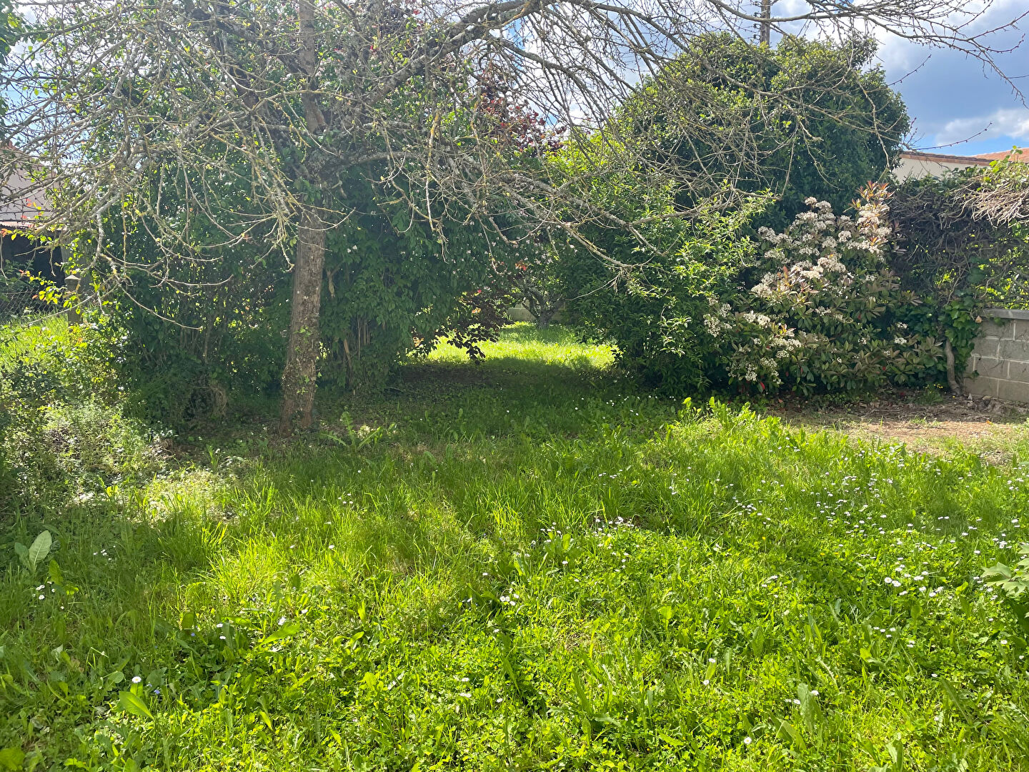 Photo L'AUBAINE - ST BENOIT image 3/6