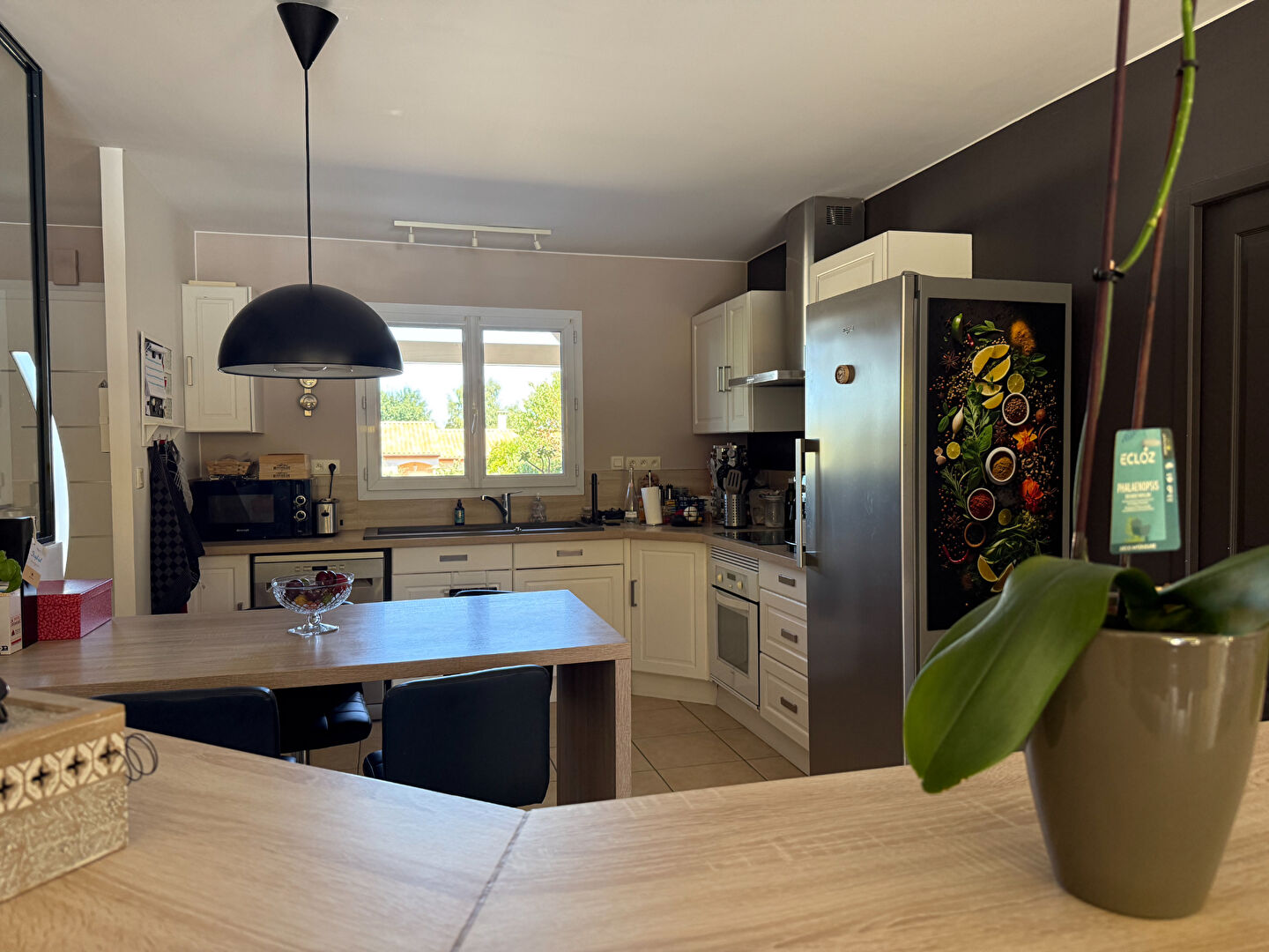 Photo ROCHES PREMARIE ANDILLE : L'ÉLÉGANTE image 5/6