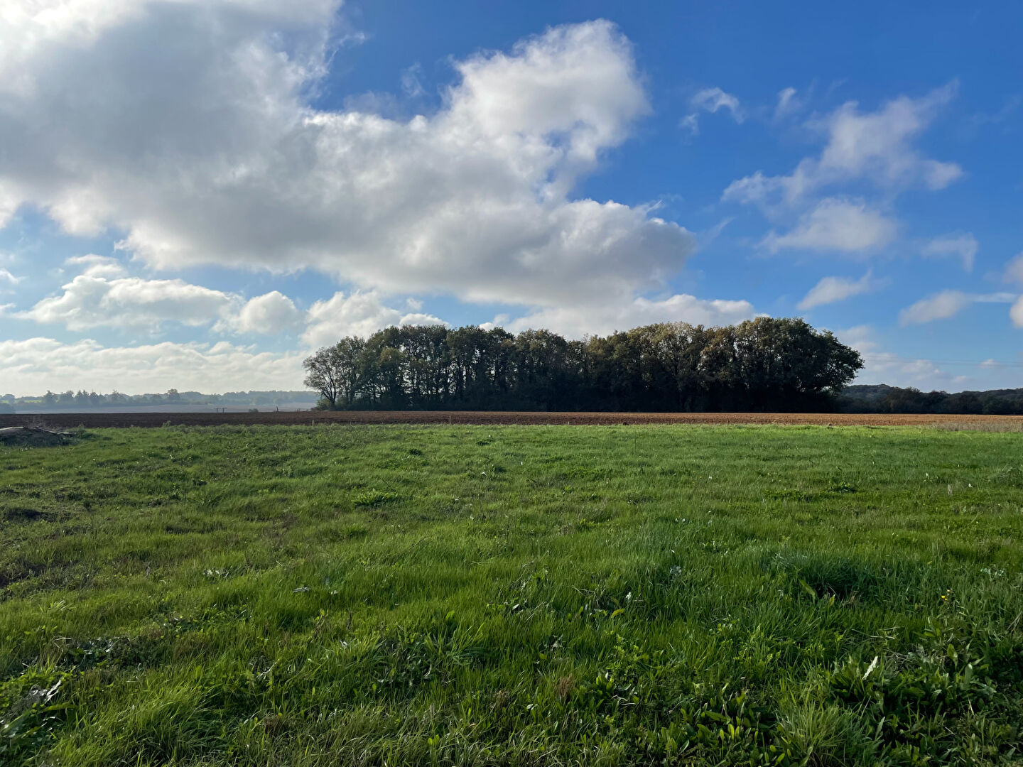 Photo L'INATTENDU - LIGUGÉ image 3/6