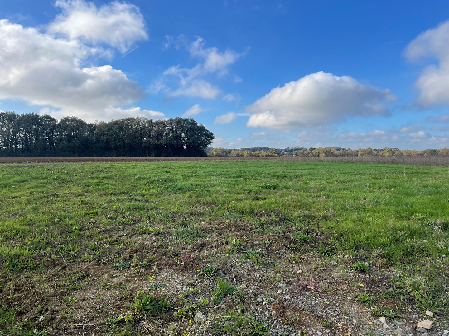 Photo L'INATTENDU - LIGUGÉ image 4/6