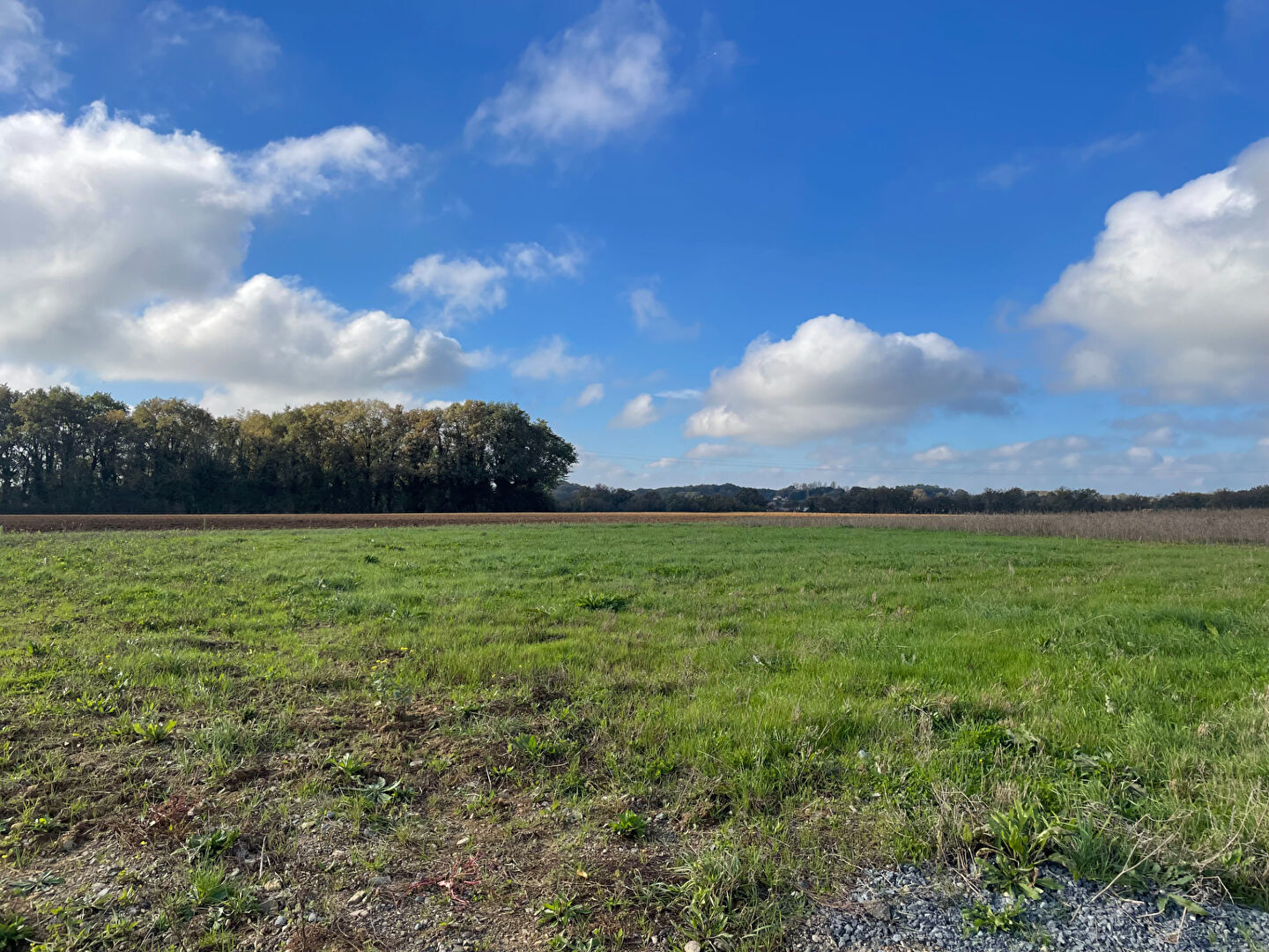 Photo L'INATTENDU - LIGUGÉ image 5/6