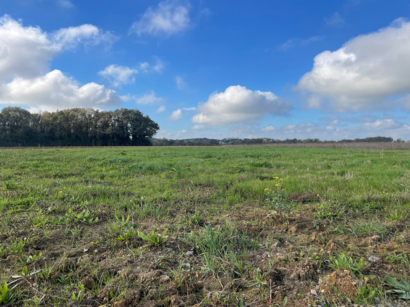 Photo L'INATTENDU - LIGUGÉ image 6/6