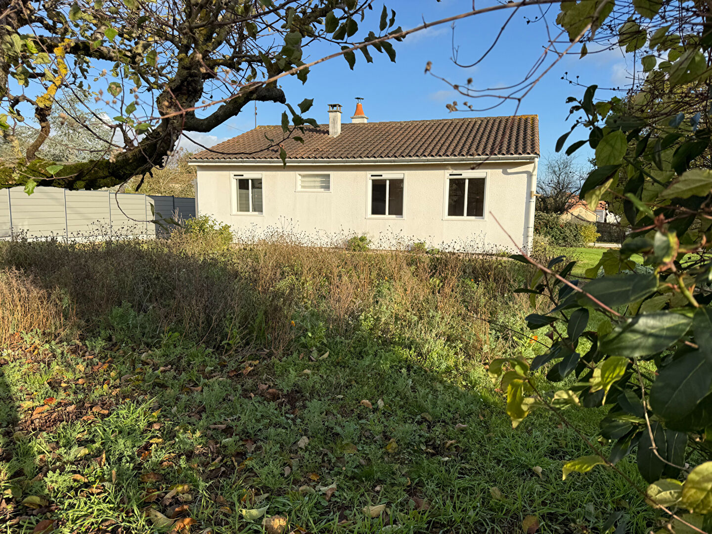 Photo VOUILLÉ : L'OPPORTUNITÉ image 2/6