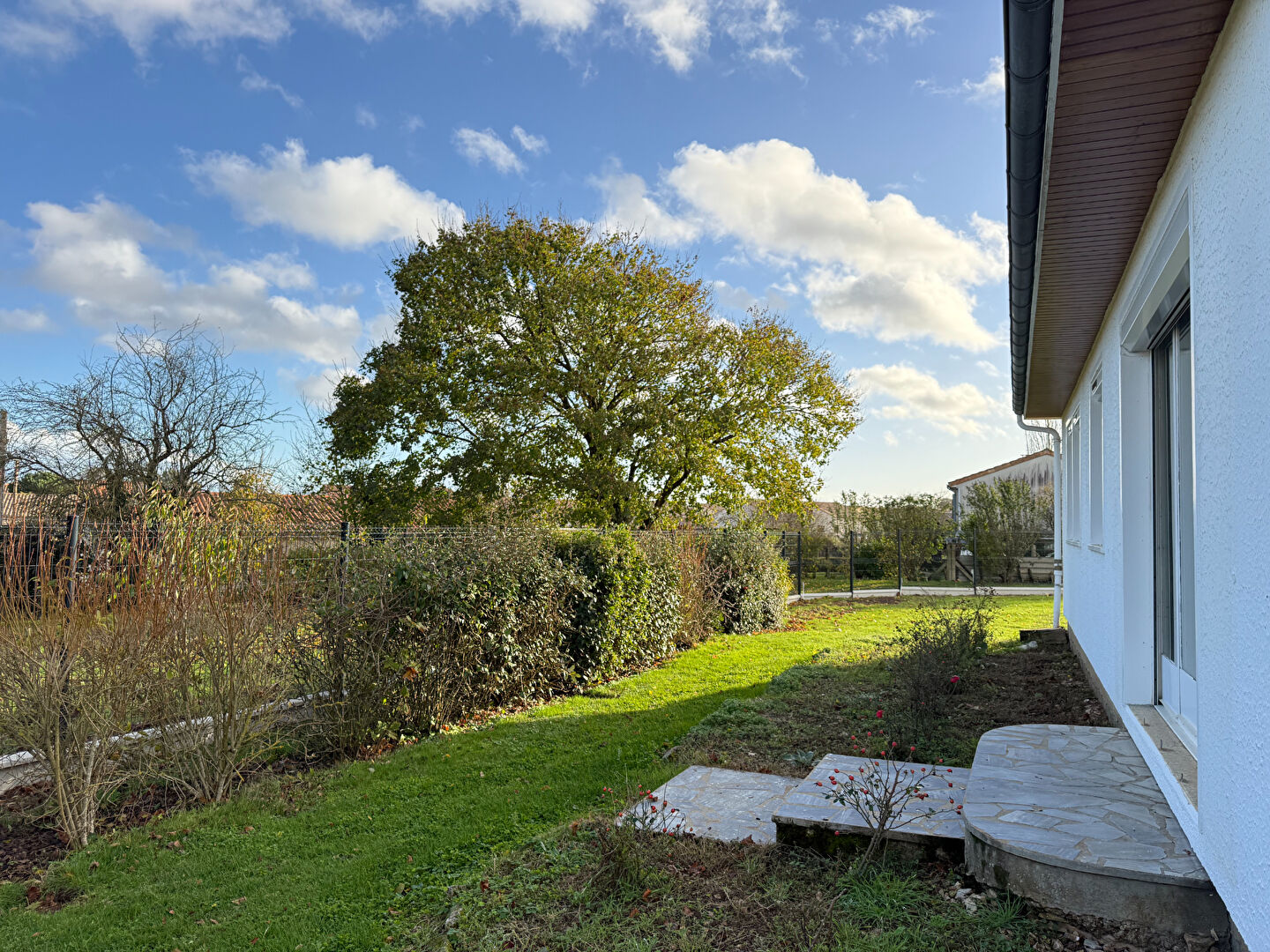 Photo VOUILLÉ : L'OPPORTUNITÉ image 3/6