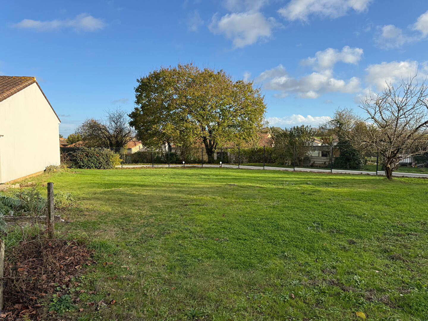 Photo VOUILLÉ : L'OPPORTUNITÉ image 4/6