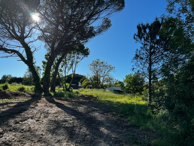Agence immobilière de AGENCE EMERAUDE Royan - AGENCE EMERAUDE