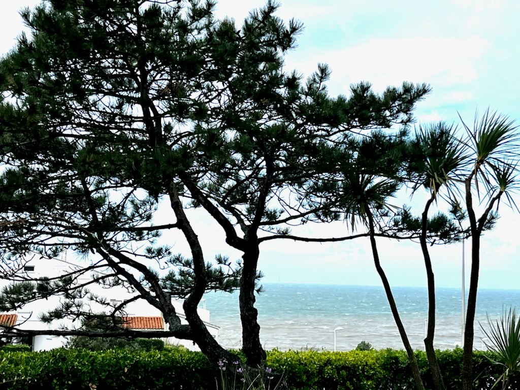 Agence immobilière de AGENCE EMERAUDE Royan - AGENCE EMERAUDE