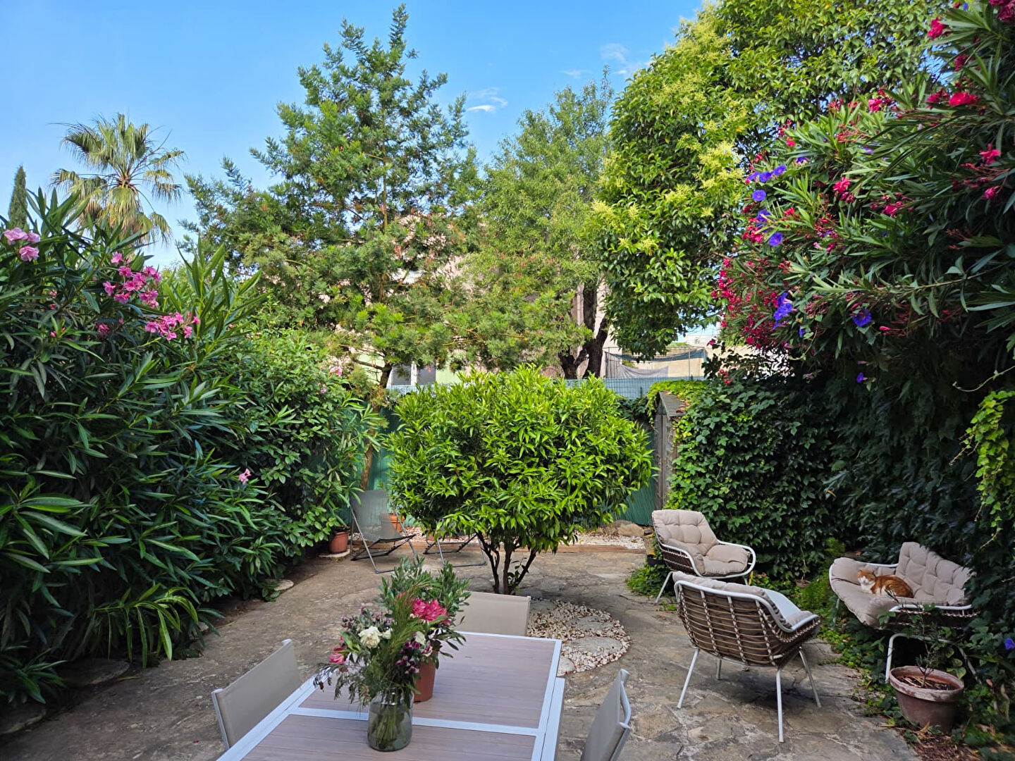 Agence immobilière de AGENCE DE SAINT JEAN La ciotat - AGENCE DE SAINT JEAN