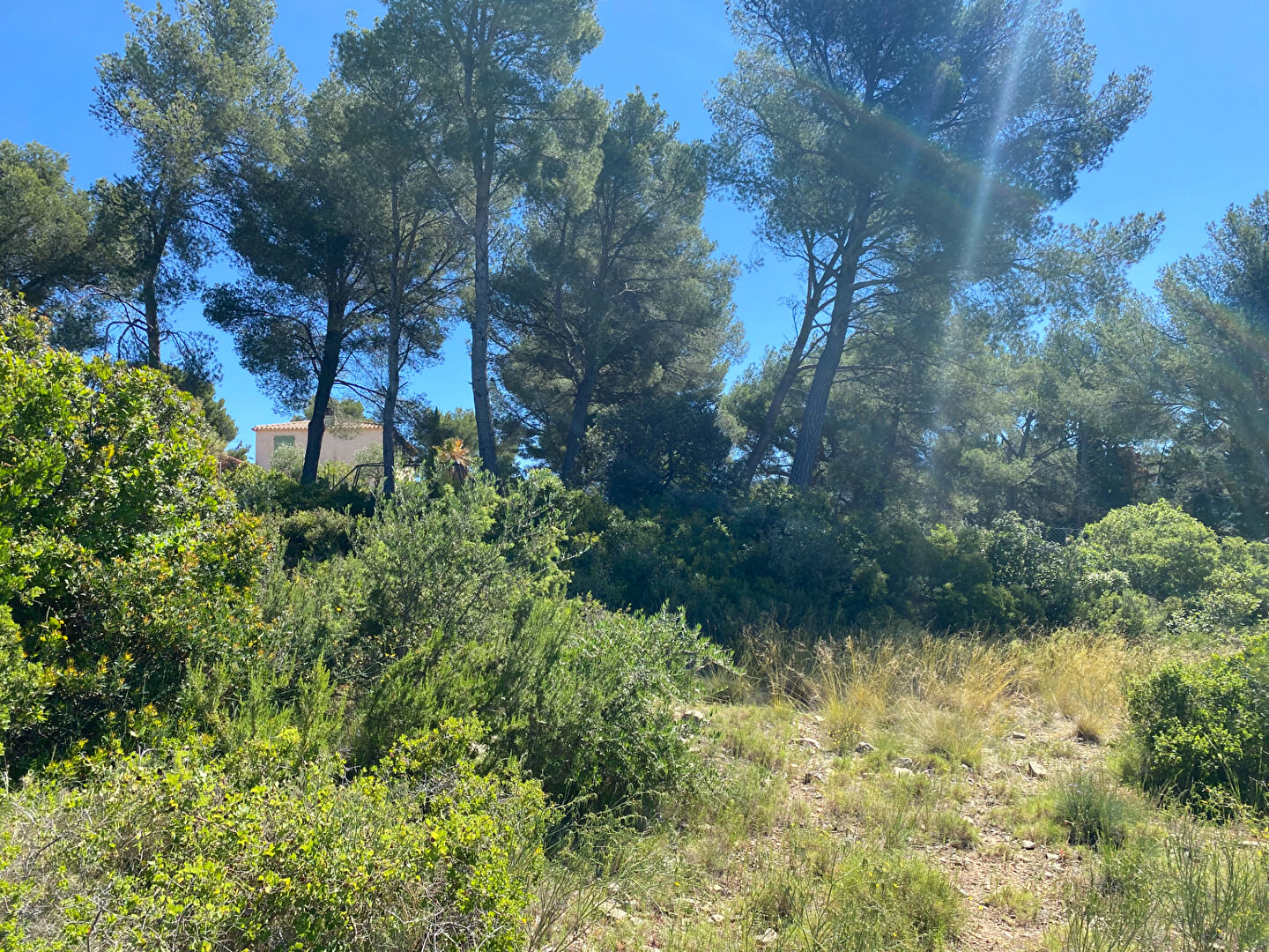 Photo Terrain constructible de 1560 m2 avec vue dominante à Ceyreste image 4/6