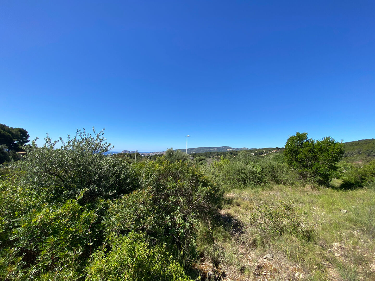 Photo Terrain constructible de 1560 m2 avec vue dominante à Ceyreste image 6/6