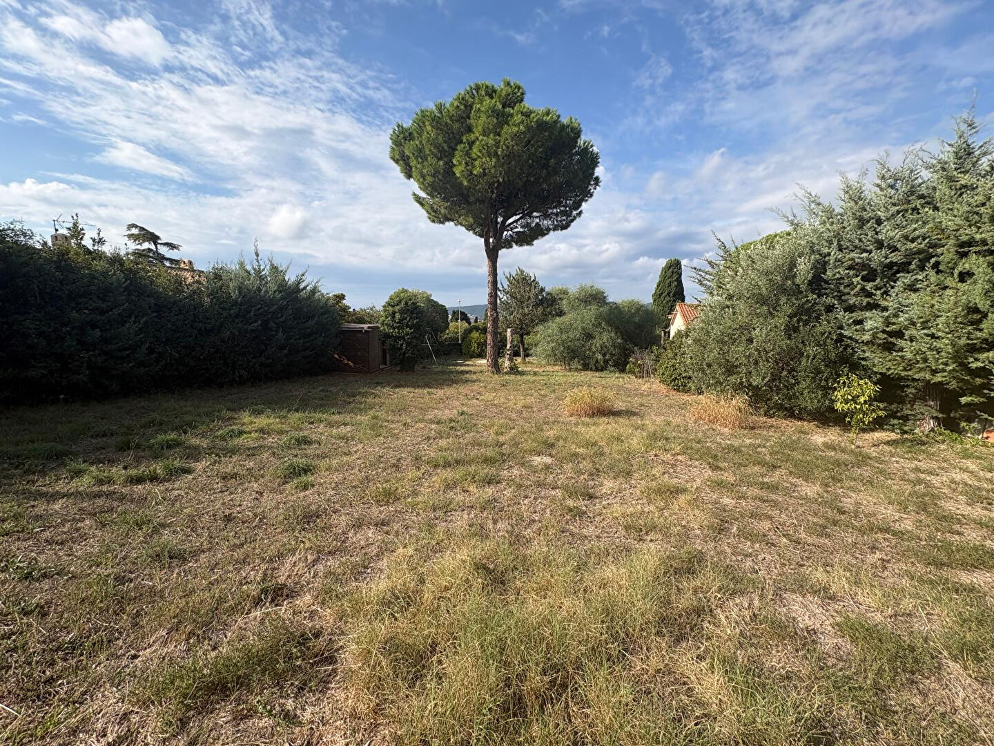 Agence immobilière de AGENCE DE SAINT JEAN La ciotat - AGENCE DE SAINT JEAN
