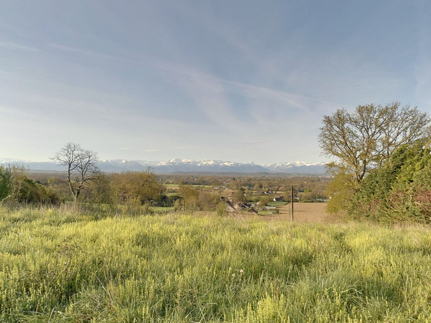 Photo HAUT DE BUROS, Terrain de 3770m² face aux PYRENEES, possibilité de diviser en 2 lots image 2/6