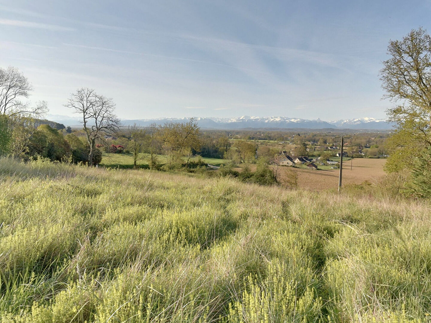 Photo HAUT DE BUROS, Terrain de 3770m² face aux PYRENEES, possibilité de diviser en 2 lots image 3/6