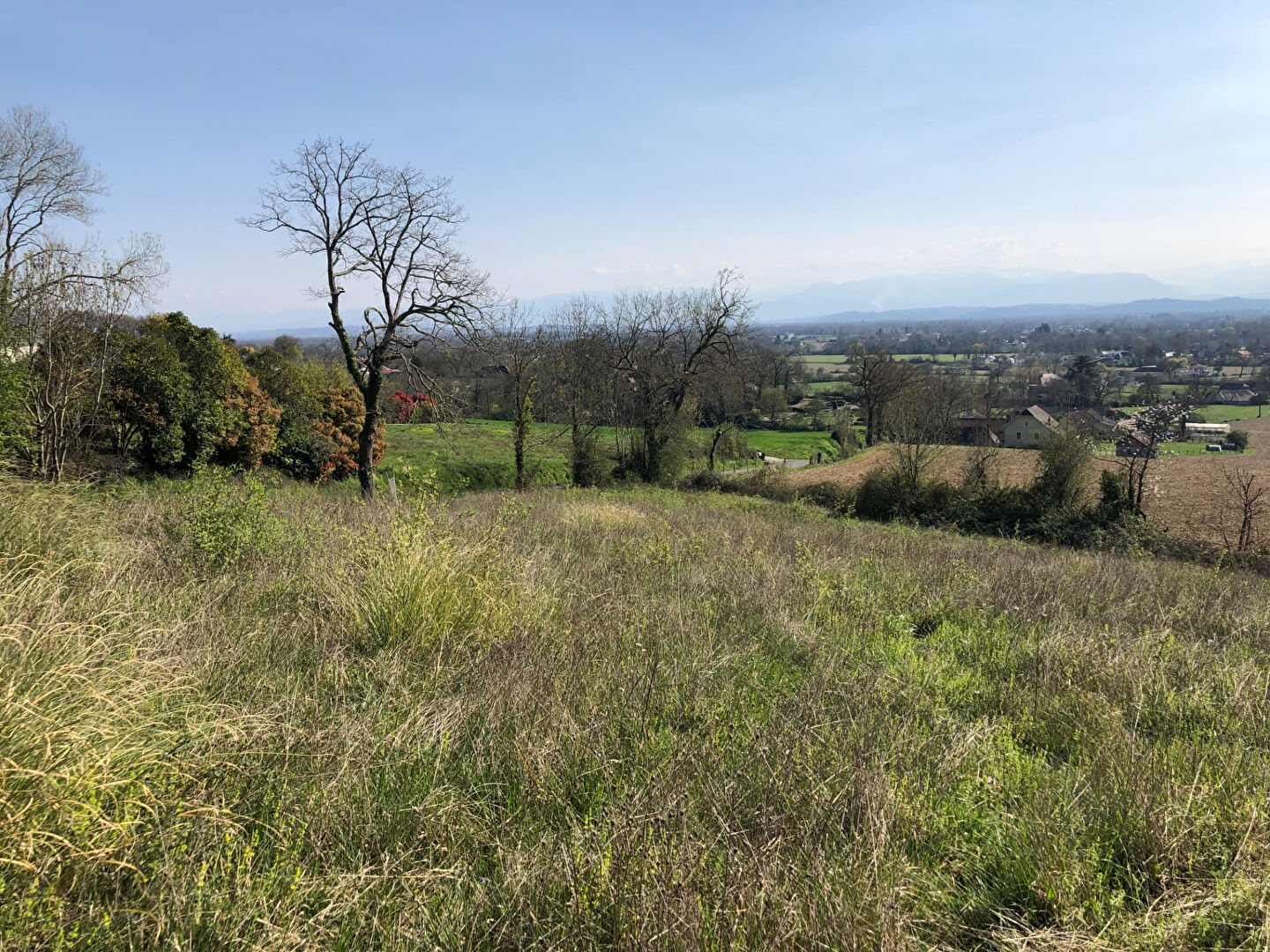 Photo HAUT DE BUROS, Terrain de 3770m² face aux PYRENEES, possibilité de diviser en 2 lots image 4/6