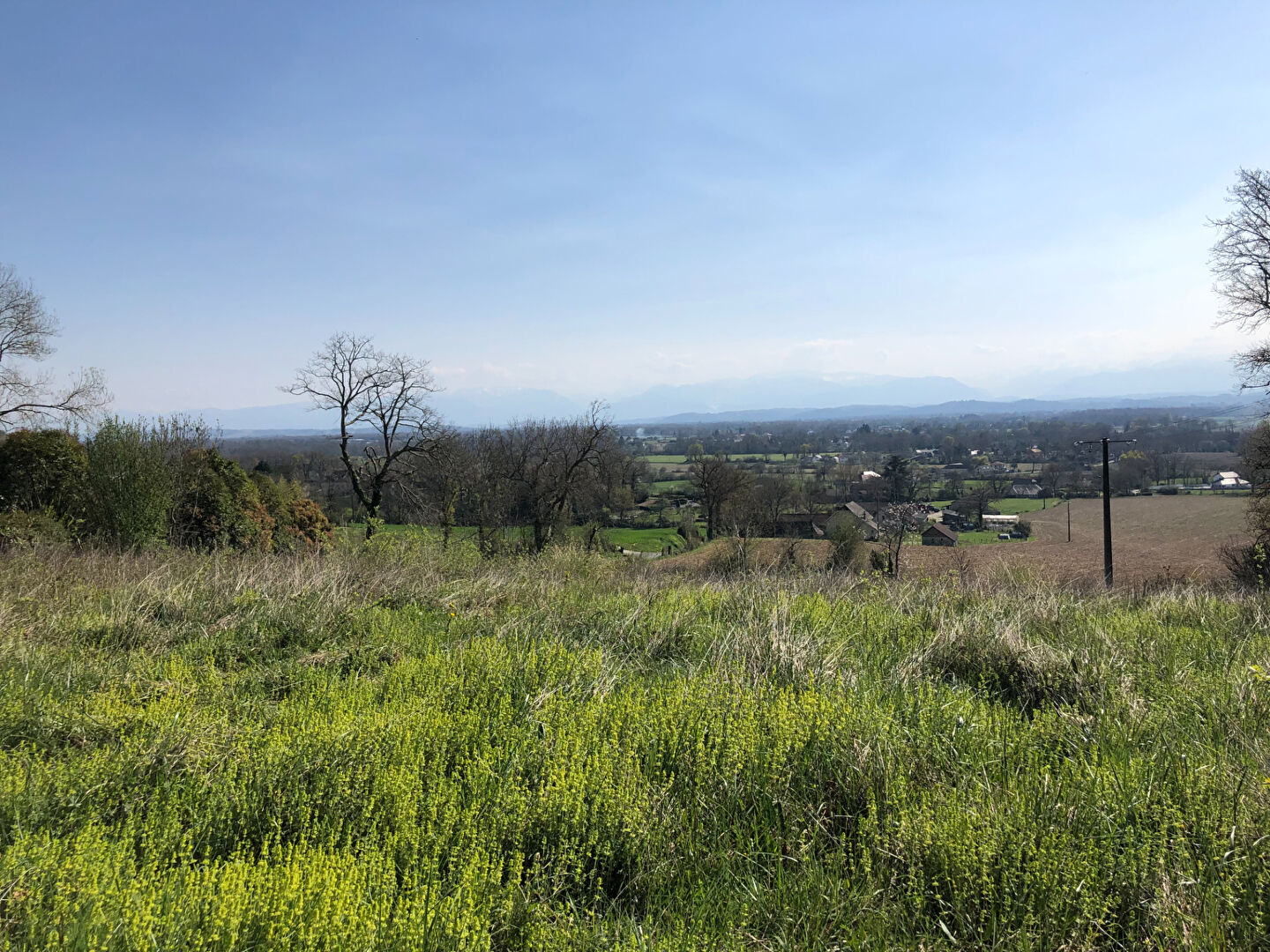 Photo HAUT DE BUROS, Terrain de 3770m² face aux PYRENEES, possibilité de diviser en 2 lots image 5/6