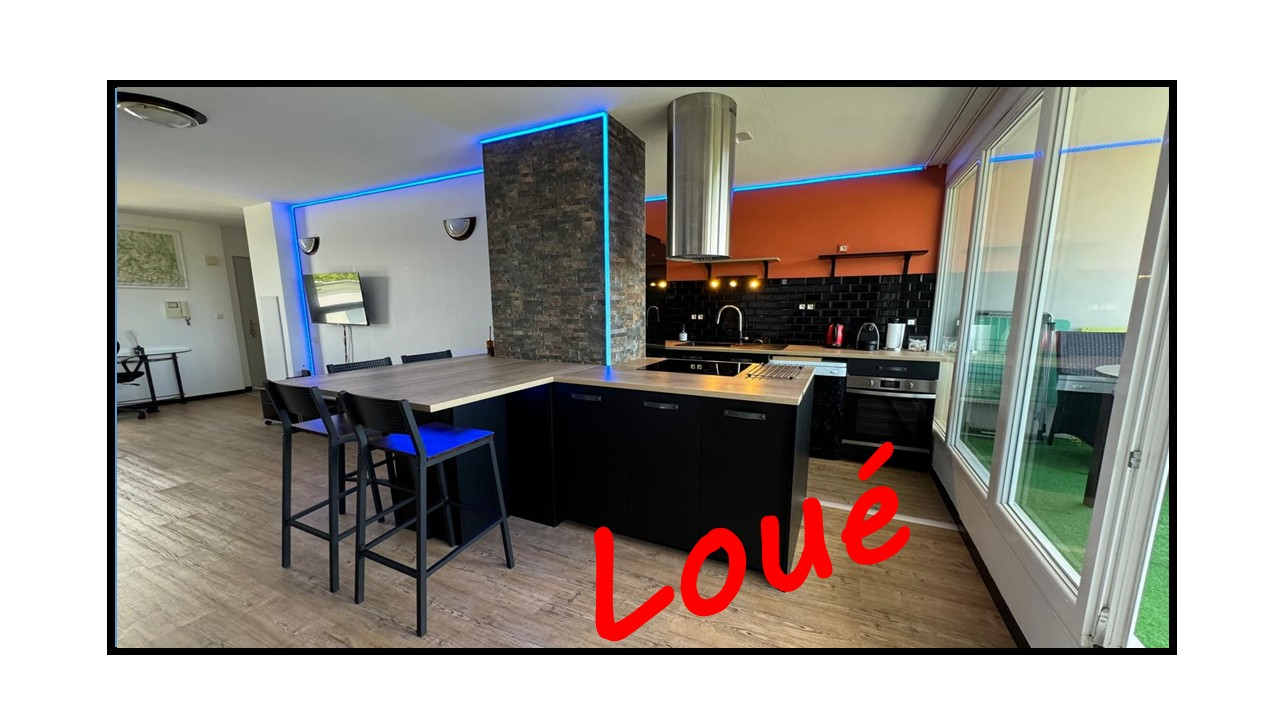 Haut d'IDRON, Dernier étage avec Terrasse Vue PYRENEES, Superbe T3 Meublé avec 2 chambres