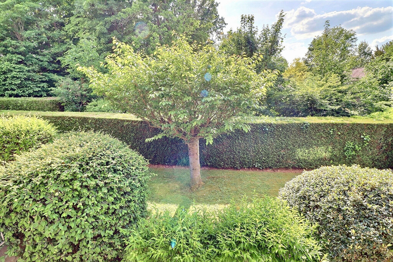 Photo L'ETANG LA VILLE - APPARTEMENT 60m² environ - Résidence 1980 image 6/6