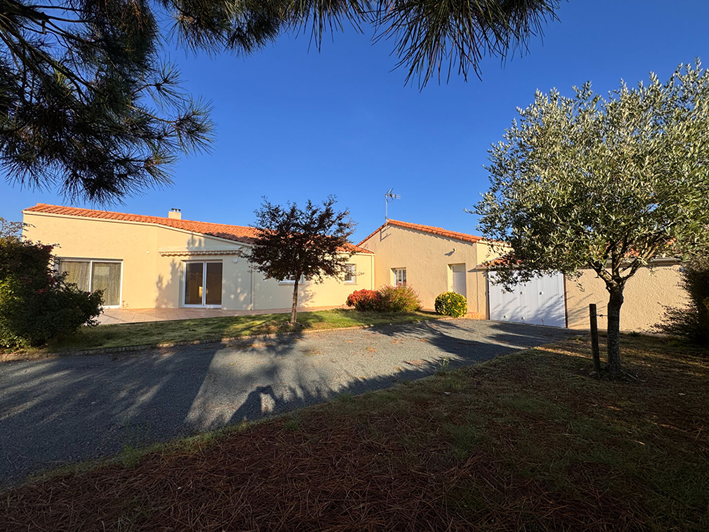 Agence immobilière de AIZENAY IMMOBILIER - AIZENAY IMMOBILIER