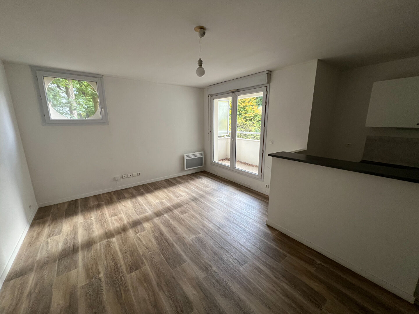 Photo Appartement  1 pièce(s) 31.43 m2 image 2/5