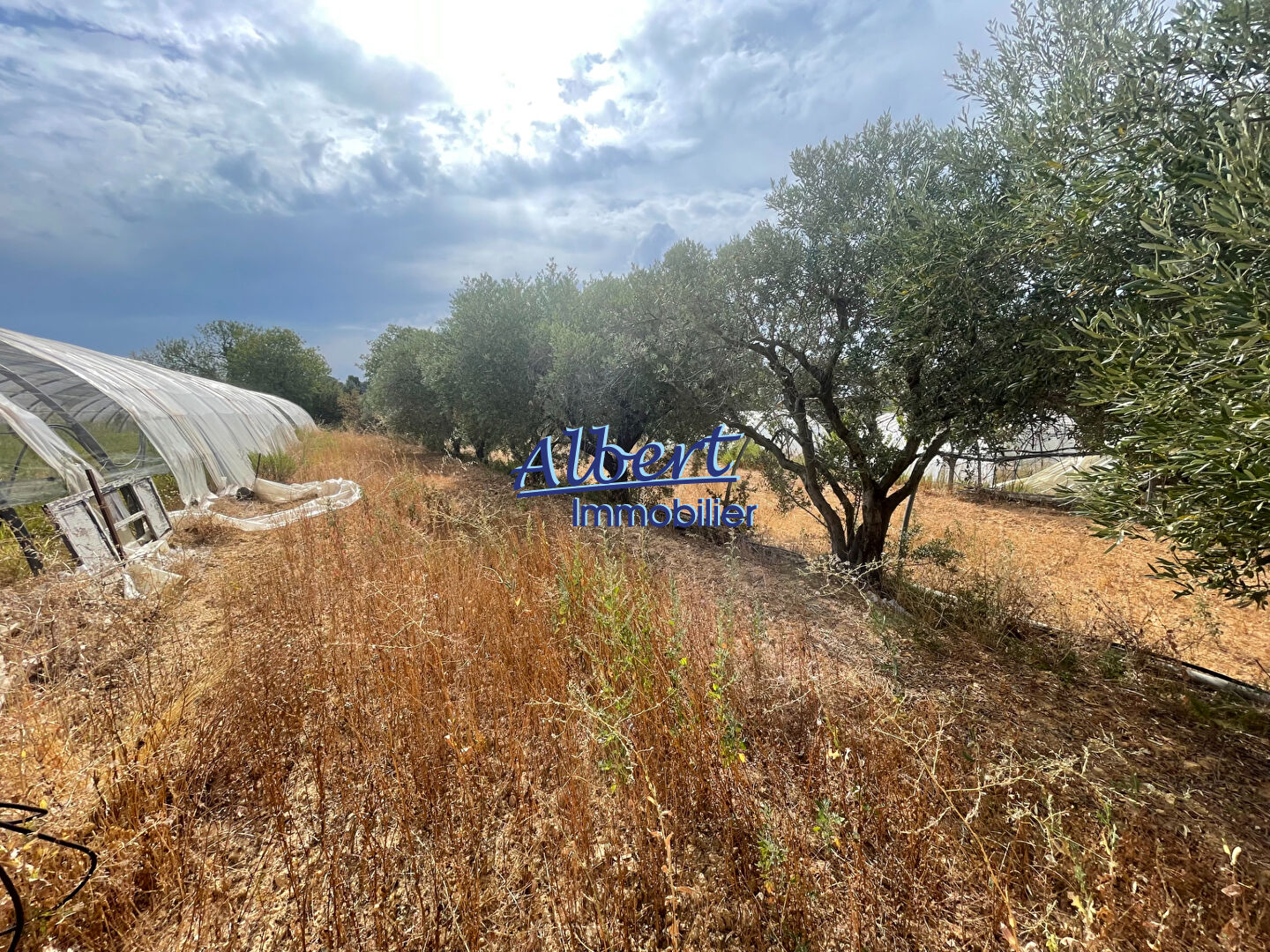 Photo Maison Ollioules 8 pièce(s) 175 m2 image 2/6