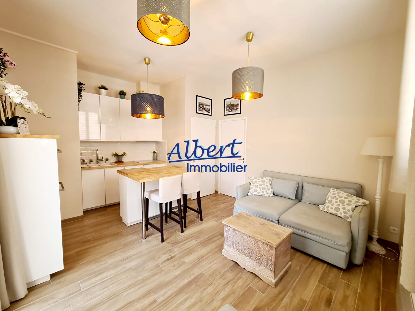 Agence immobilière de ALBERT IMMOBILIER SANARY