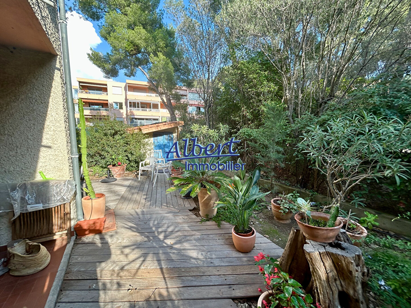 Agence immobilière de ALBERT IMMOBILIER SANARY