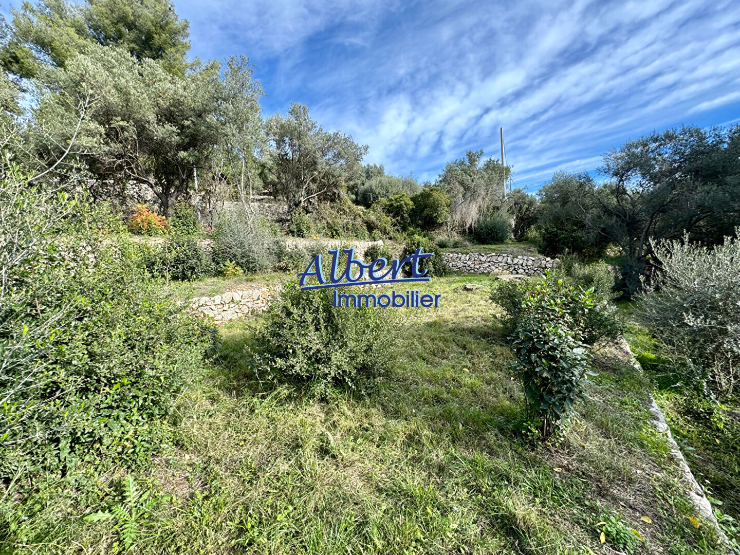 Photo Terrain Ollioules 1027 m2 image 3/6
