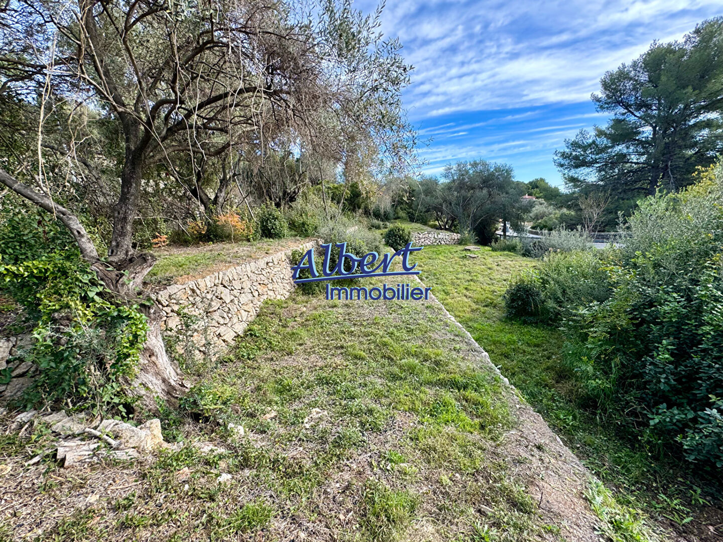 Photo Terrain Ollioules 1027 m2 image 4/6
