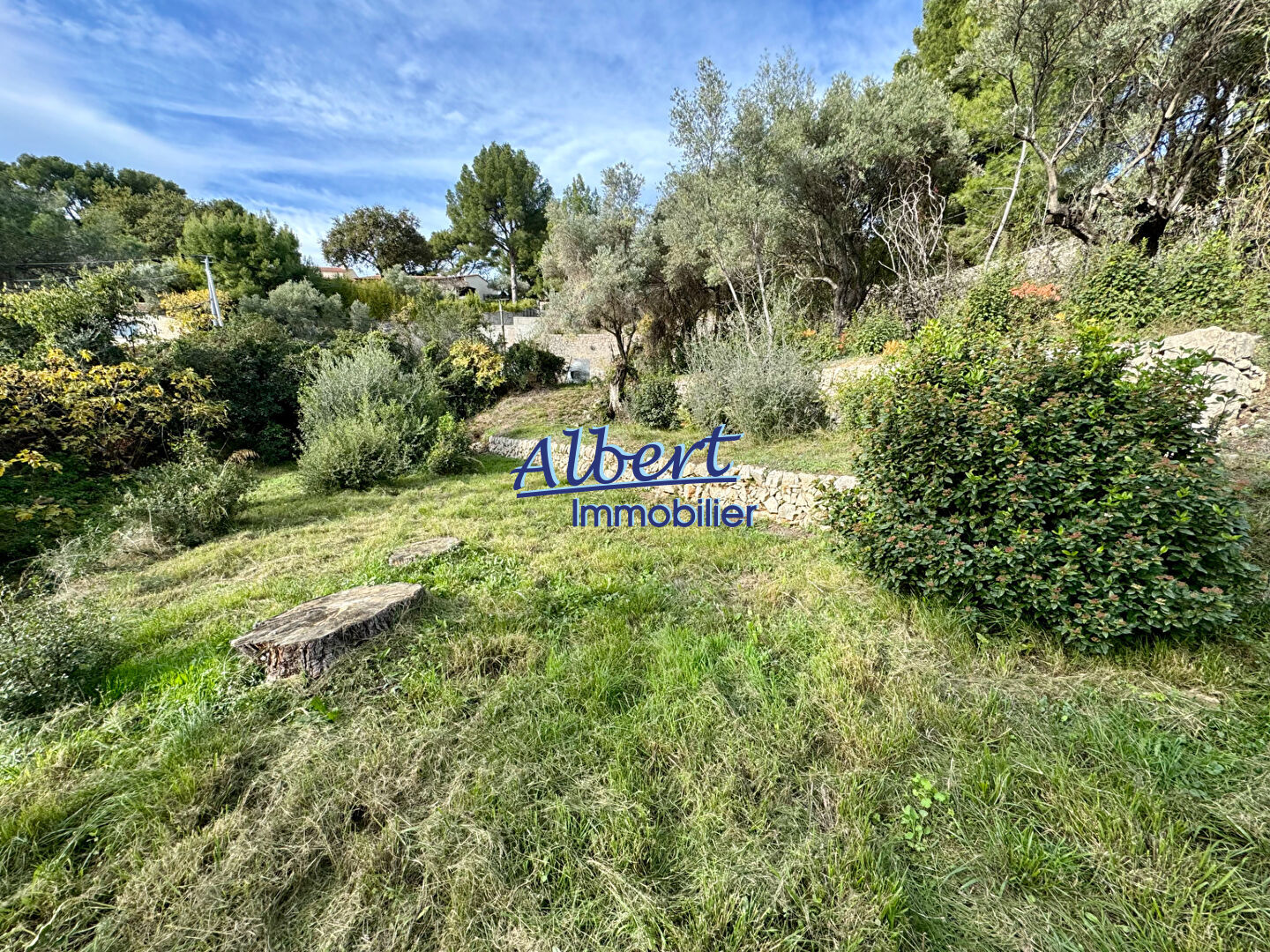 Photo Terrain Ollioules 1027 m2 image 5/6