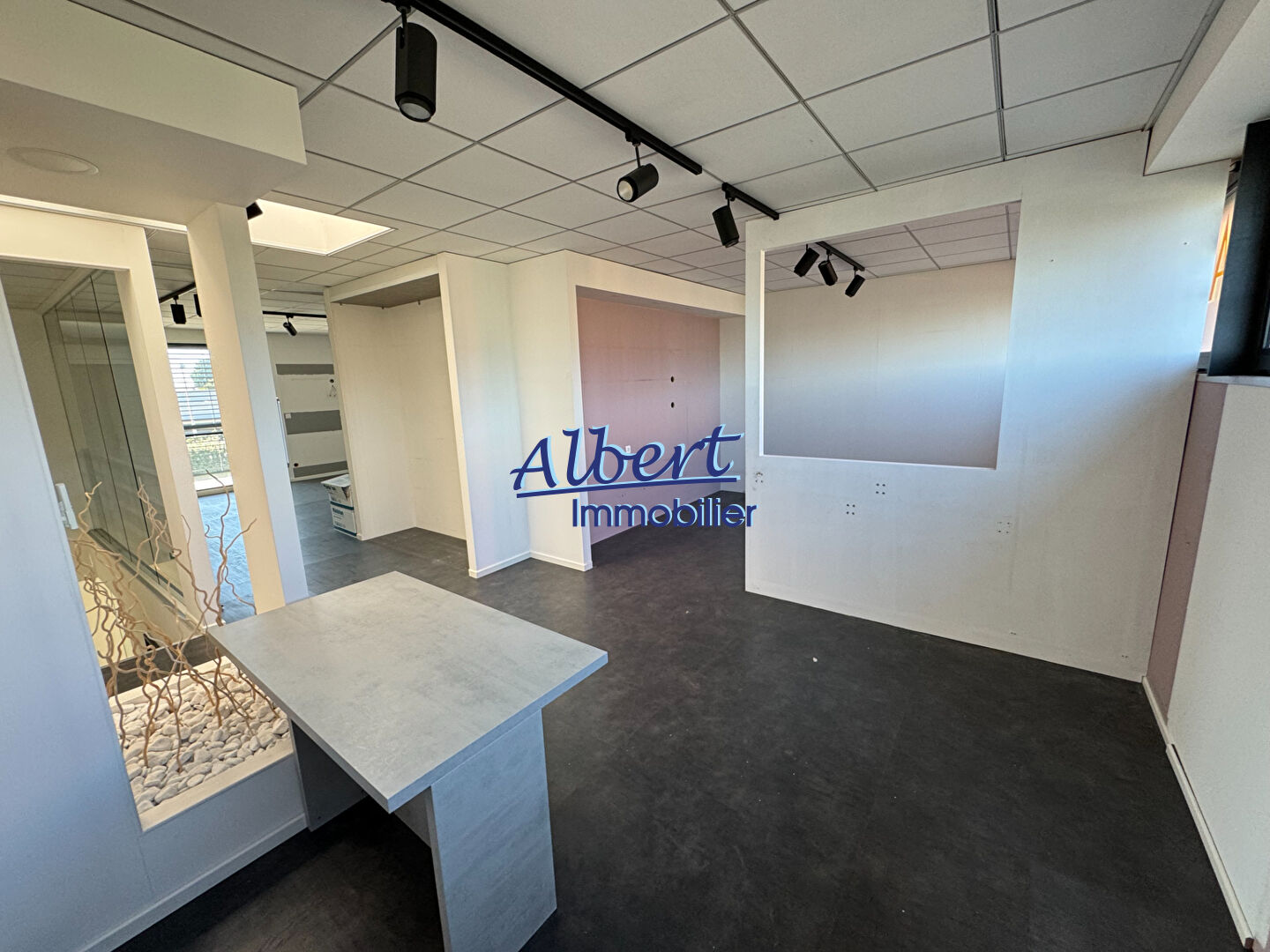 Photo Local commercial Ollioules 181 m2 image 4/5