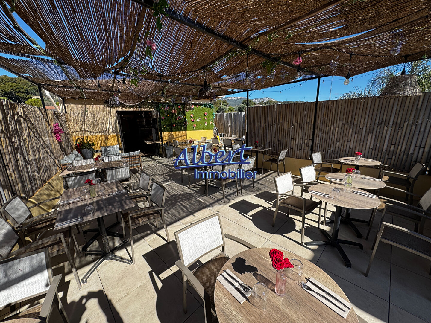 Agence immobilière de ALBERT IMMOBILIER OLLIOULES