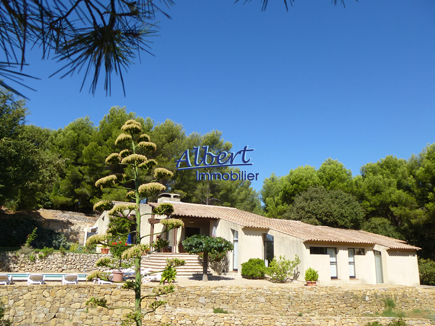 Agence immobilière de ALBERT IMMOBILIER SANARY