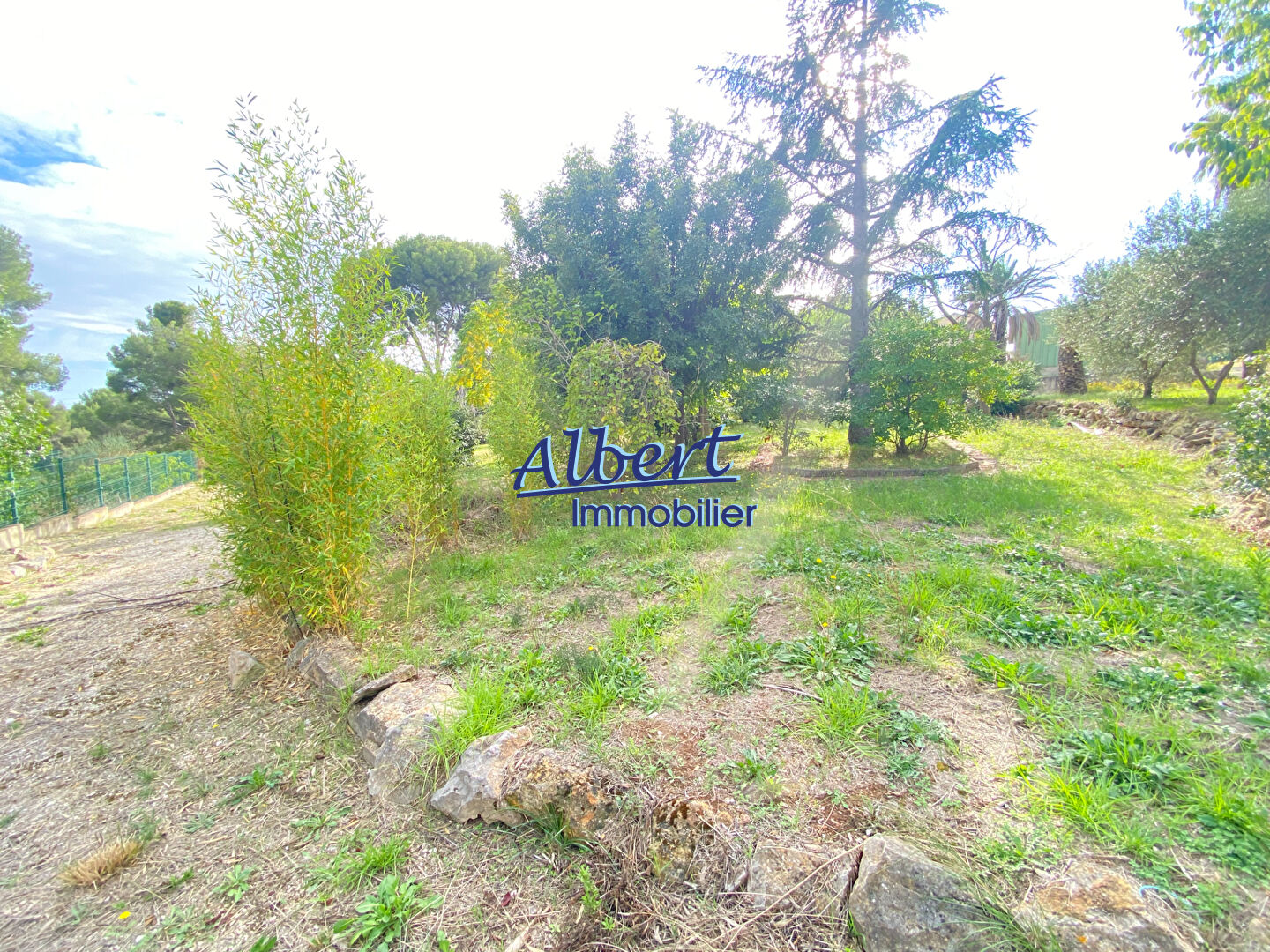 Photo Villa Ollioules 7 pièce(s) 240 m2 image 4/6