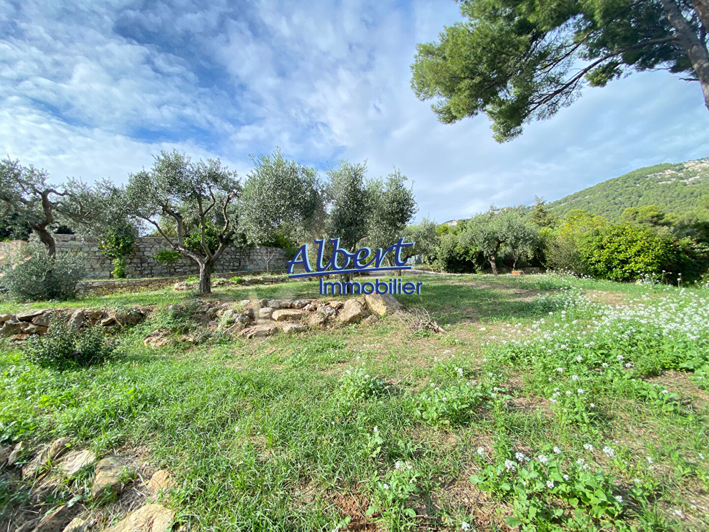 Photo Villa Ollioules 7 pièce(s) 240 m2 image 5/6