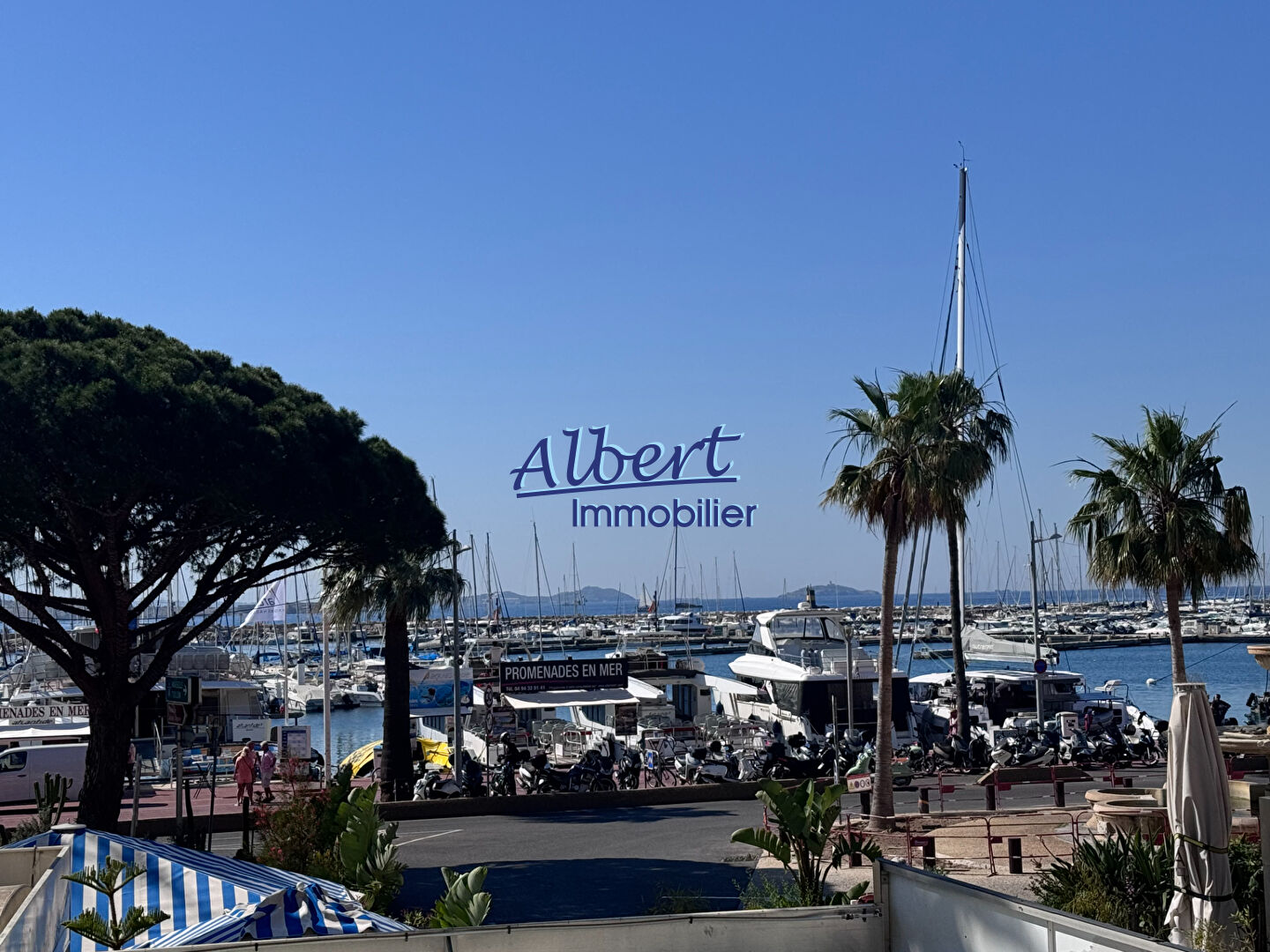 Agence immobilière de ALBERT IMMOBILIER SANARY