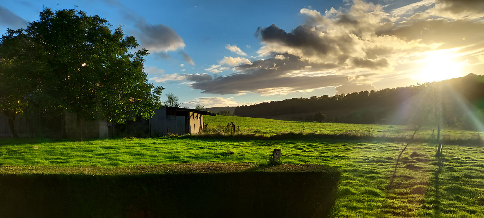 Photo TERRAIN CONSTRUCTIBLE 928m2  CLAVY WARBY  08460 image 2/3