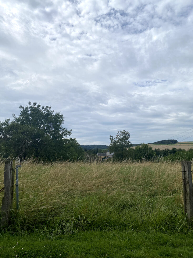 Photo TERRAIN CONSTRUCTIBLE 928m2  CLAVY WARBY  08460 image 3/3