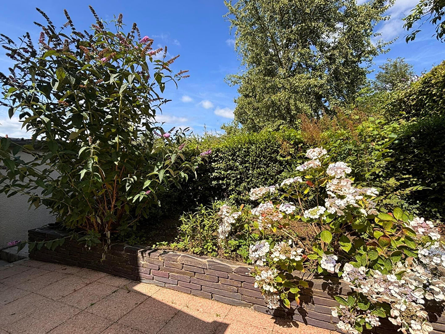 Photo MAISON - SEDAN image 5/6