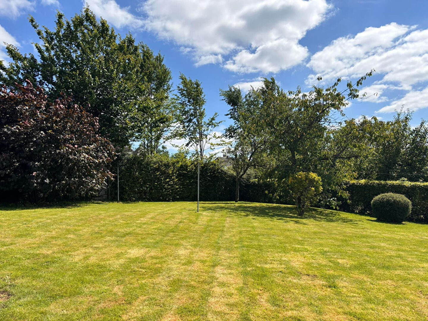 Photo MAISON - SEDAN image 6/6