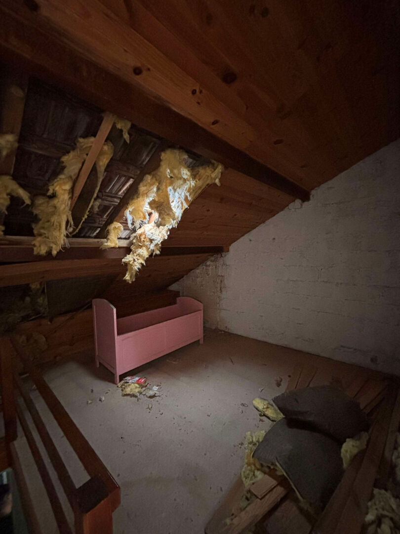 Photo MAISON - POURU AUX BOIS image 6/6